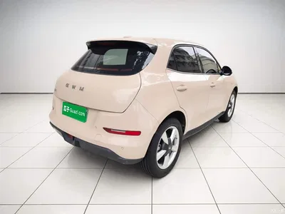2025 Ora Good Cat Model 430km Luxury, фото 4, лот 10330353