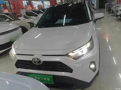 2023 Toyota RAV4 Rongfang 2.0L CVT 2WD 20th Anniversary Platinum Edition, фото 3, лот 10689924