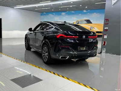 2020 BMW X6 xDrive40i M Sport Package, фото 4, лот 10679707