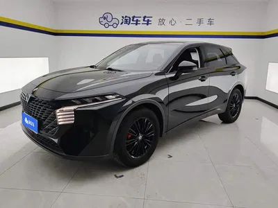 2022 Venucia Big V 260T Dark Horse Edition·Idol, фото 1, лот 11153880