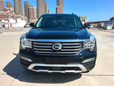 2017 GAC Trumpchi Trumpchi GS8 320T 2WD Luxury Smart Connect (7-seater), фото 1, лот 10417702