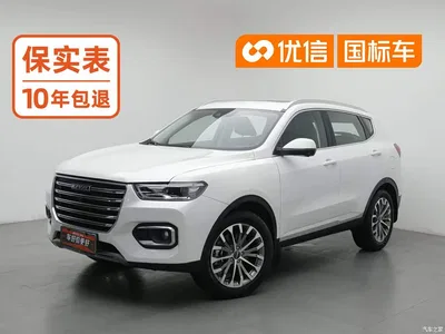 2020 Haval H6 1.5GDIT Automatic Platinum Luxury Edition, фото 1, лот 10450767