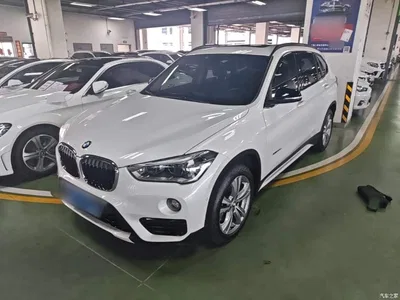 2016 BMW X1 xDrive20Li Luxury Model, фото 1, лот 10467706