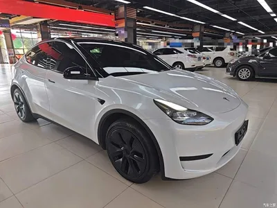2023 Tesla Model Y Rear-Wheel Drive Edition, фото 4, лот 11408084
