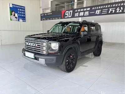 2024 Haval Meng Long NEV Hi4 145 Cross-country Edition, фото 1, лот 10284998