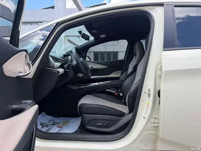 2025 BYD Dolphin 420km Fashion Edition, фото 4, лот 10250258