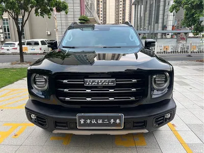 2022 Haval Big Dog 1.5T DCT FWD Border Collie Edition, фото 1, лот 10668415