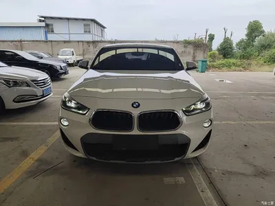 2019 BMW X2 (Import) sDrive20i M Off-Road Package China VI, фото 3, лот 11301973