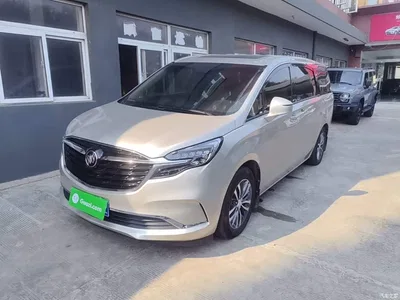 2021 Buick GL8 ES Landlord 653T Premium, фото 1, лот 10434797