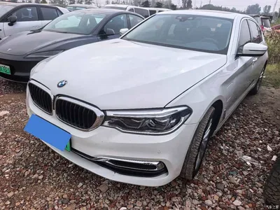 2019 BMW 5 Series New Energy Facelift 530Le Luxury Package, фото 1, лот 11197604