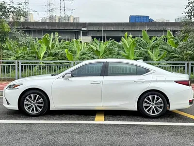2020 Lexus ES 200 Excellence, фото 2, лот 10314819