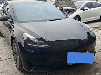 2023 Tesla Model 3 Long Range All-Wheel Drive, фото 1, лот 10350886