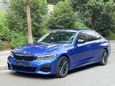 2020 BMW 3 Series 325Li M Sport Black Night Package, фото 1, лот 11137539