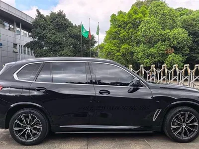 2022 BMW X5 Facelift xDrive 30Li Premium M Sport Package, фото 4, лот 10409696