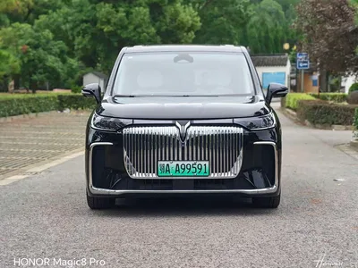 2025 Voyah Auto Voyah Dreamer EV AWD Flagship Kunpeng Edition, фото 2, лот 11219190