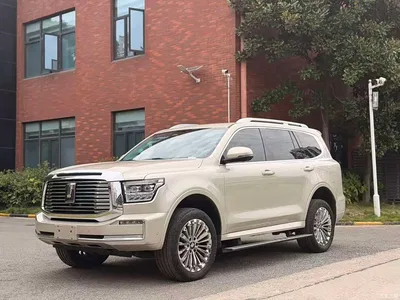 2022 Tank 500 3.0T Business Edition Zaojing 5-Seater, фото 1, лот 10344026