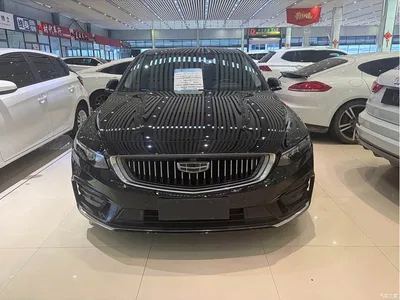 2021 Geely Xing Rui 2.0TD Luxury, фото 2, лот 10894524