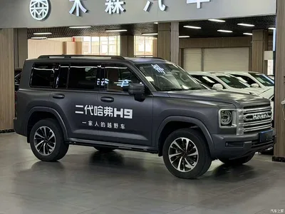 2024 Haval H9 2.0T Gasoline AWD Extreme Edition, фото 1, лот 10479288