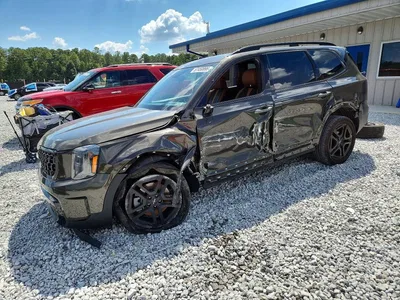 2024 KIA TELLURIDE SX-PRESTIGE X-LINE, фото 1, лот 10784589