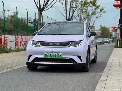2023 Byd Dolphin, фото 1, лот 10245606