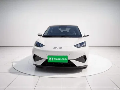 2025 BYD Seagull Smart Drive Edition 305km Freedom Version, фото 2, лот 10440039