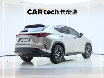 2022 Lexus NX 260 FWD Joy Creation Edition, фото 3, лот 10436454