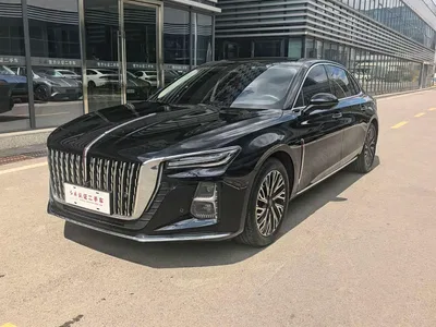 2023 Hongqi H5 2.0T Auto Smart Connect Flag Comfort, фото 1, лот 10288047