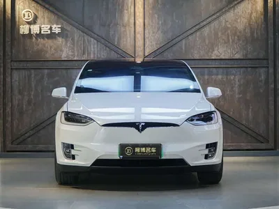 2016 Tesla Model X 75D, фото 3, лот 10354056