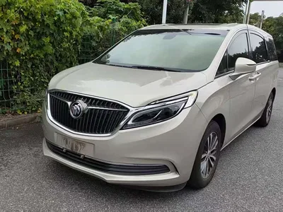 2017 Buick GL8 ES 28T Luxury China V, фото 1, лот 11194561