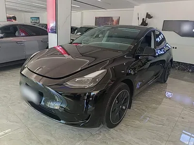 2023 Tesla Model Y Rear-Wheel Drive Edition, фото 1, лот 11395041