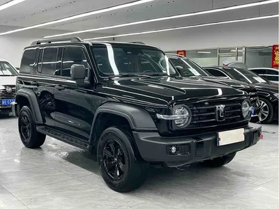 2023 Tank 300 Off-Road Edition 2.0T Conqueror, фото 3, лот 10593094