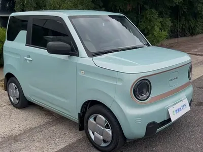 2023 Geely Galaxy Panda Mini 200km Endurance Bear, фото 2, лот 10429750