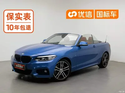 2019 BMW 2 Series (Import) 225i Convertible Coupe Exclusive M Sport Package, фото 1, лот 10415707