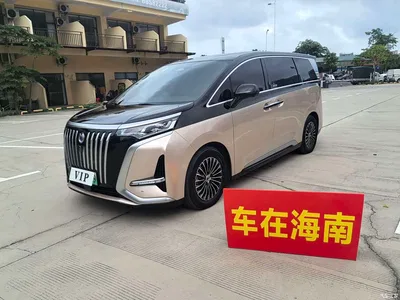 2024 Denza D9 EV 620 Premium, фото 1, лот 10816986