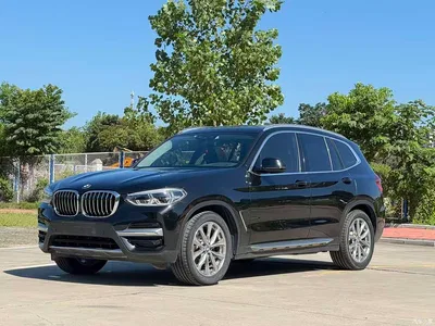 2020 BMW X3 xDrive25i Luxury Package, фото 1, лот 10666941