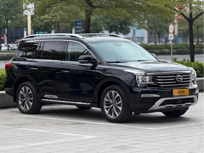 2017 GAC Trumpchi Trumpchi GS8 320T AWD Luxury Smart Connect (7-Seater), фото 3, лот 10418224