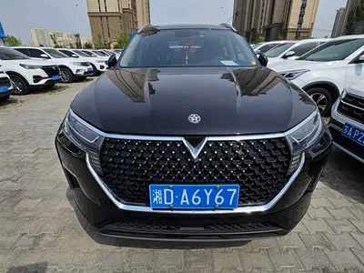 2023 Venucia Star 260T Star Wish Edition Pro, фото 2, лот 11153659