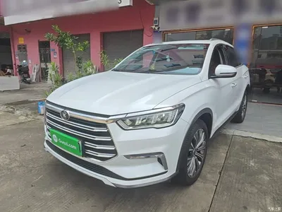 2019 BYD Song Pro New Energy DM 1.5T 4WD Performance Luxury, фото 2, лот 10612271