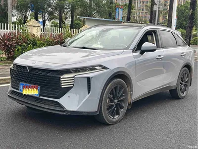 2021 Venucia Big V 260T King Edition, фото 1, лот 11148514