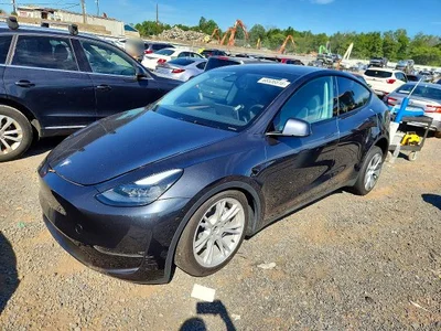 2024 TESLA MODEL Y, фото 1, лот 10855148