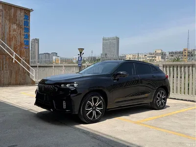 2020 WEY VV7 New Energy PHEV 2.0T Flagship Model, фото 1, лот 10957887