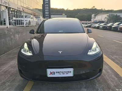 2024 Tesla Model Y Rear-Wheel Drive Version, фото 2, лот 11210441