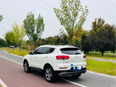 2020 Haval H6 1.5GDIT Automatic Platinum Ultra Luxury Edition, фото 4, лот 10766387