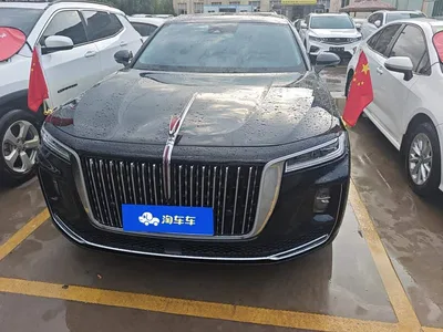 2020 Hongqi H9 3.0T Smart Connection Qi Chang Edition, фото 2, лот 10288109