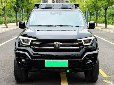 2024 Tank 400 New Energy Hi4-T Off-Road Edition, фото 2, лот 11193618