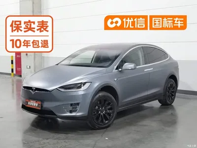 2016 Tesla Model X 90D, фото 1, лот 10396770