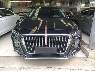 2024 Hongqi H5 2.0T Automatic Smart Connect Flag Smooth Edition, фото 3, лот 11097968