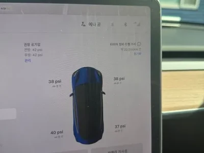 2020 Tesla Model 3 Long Range AWD, фото 2, лот 10125206