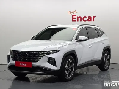 2022 Hyundai Tucson Diesel 2.0 4WD, фото 1, лот 10151271
