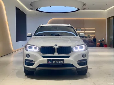 2018 BMW X6 xDrive35i Leading Model, фото 2, лот 10469199